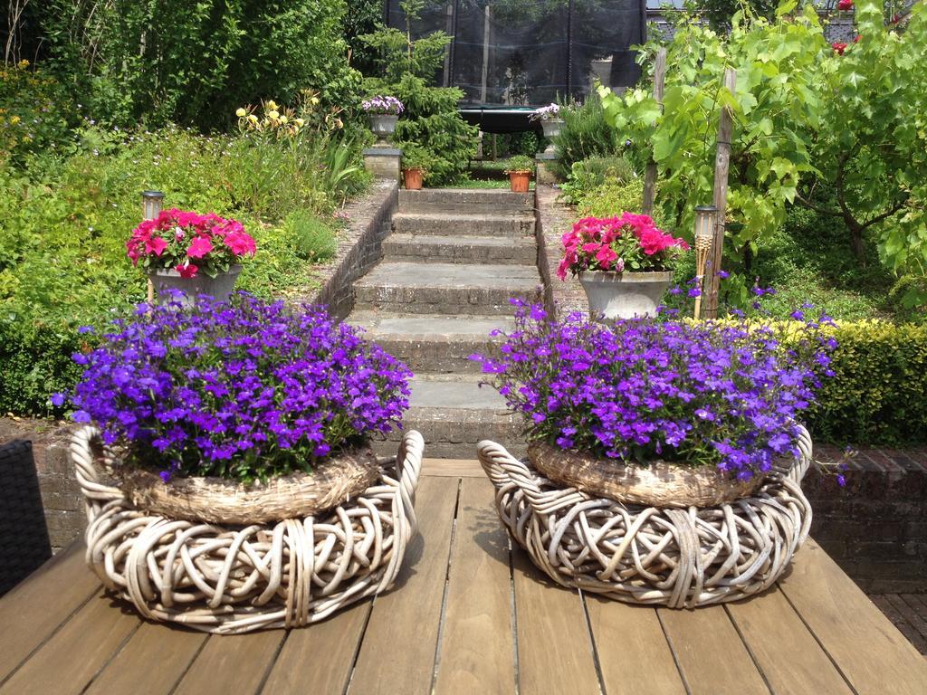 Bed & Breakfast Huize Mesch Eijsden Exterior foto