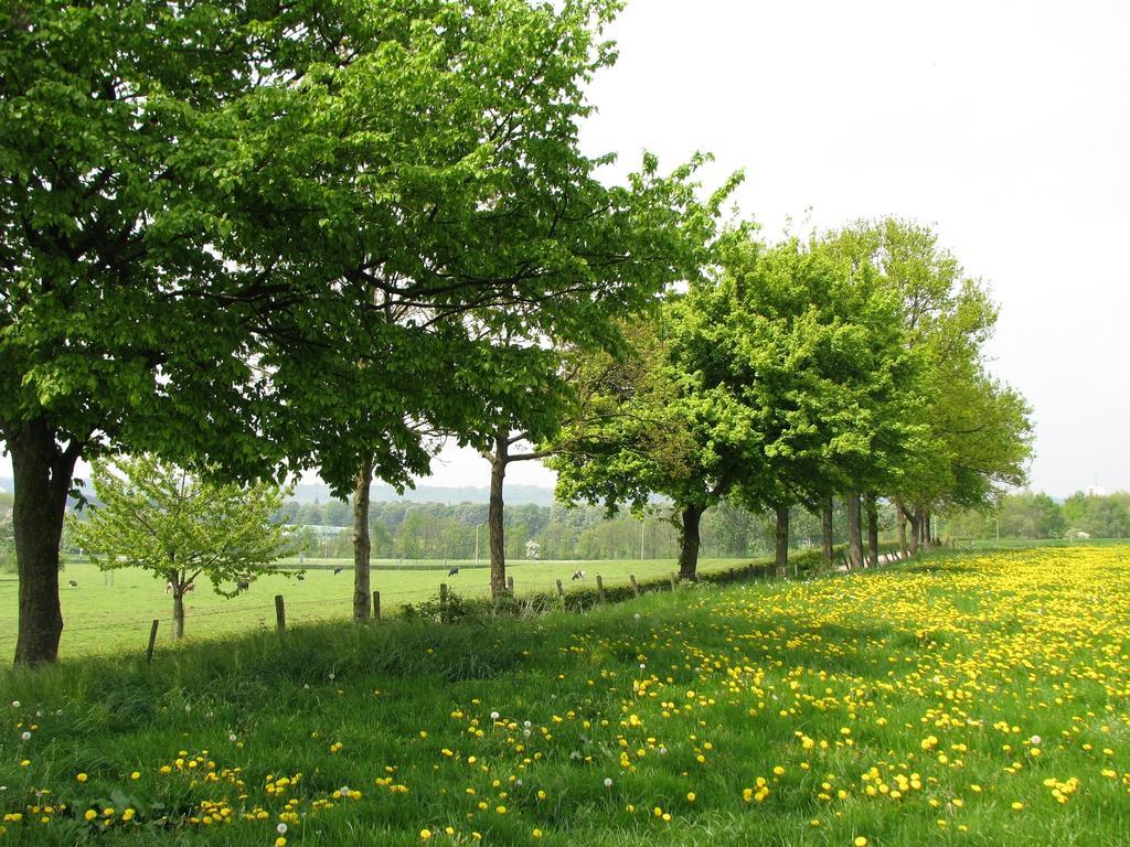 Bed & Breakfast Huize Mesch Eijsden Exterior foto